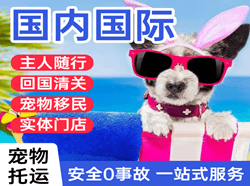 东阳横店机场空运国际宠物托运 【国